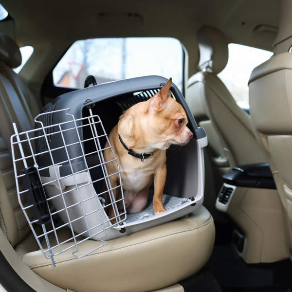Pet Carriers & Travel